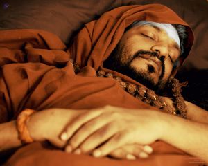 SPH Samadhi 7276470077196927965 n.jpg