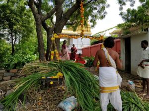 SRIPURAM 40055259 1045559648950614 2094740109575323648 o.jpg