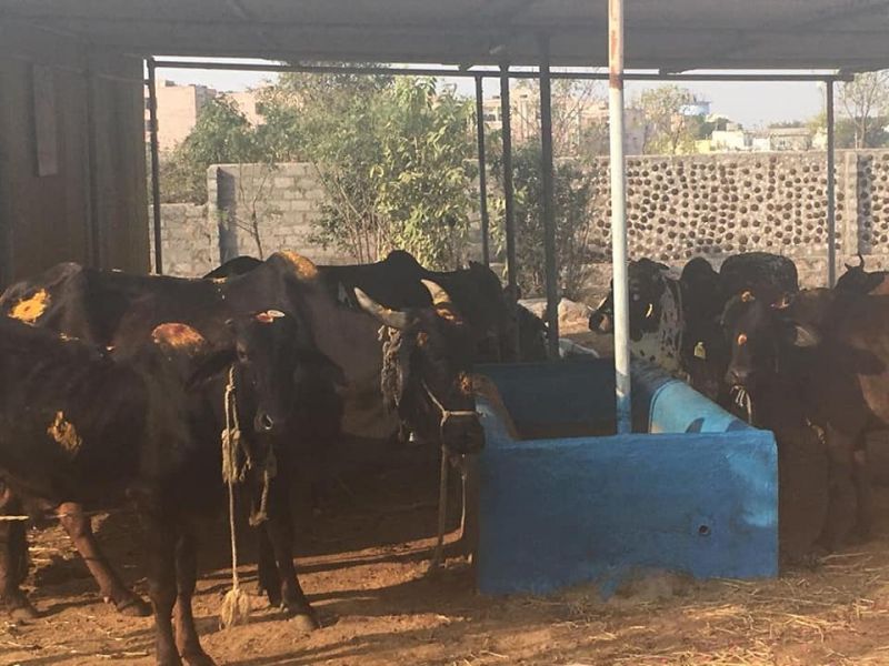 File:SRIPURAM 49318374 1138267389679839 3481540824175476736 n.jpg