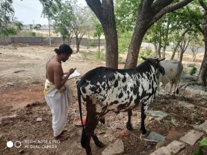 SRIPURAM 64557793 1249413431898567 5197649716585693184 o.jpg