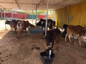 SRIPURAM 64873136 1249467285226515 6168708871222198272 n.jpg