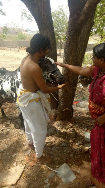 File:SRIPURAM 65217400 1249413331898577 4409914532240031744 o.jpg