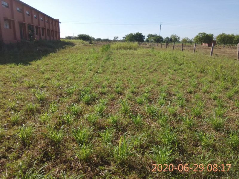 File:SSJP 105705777 1529521040559901 6512985396772459116 o.jpg