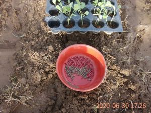 SSJP 106104789 1529521760559829 2111882297940280830 o.jpg