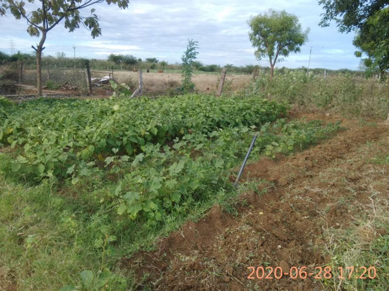 File:SSJP 106155389 1529522290559776 8537687198311412917 o.jpg