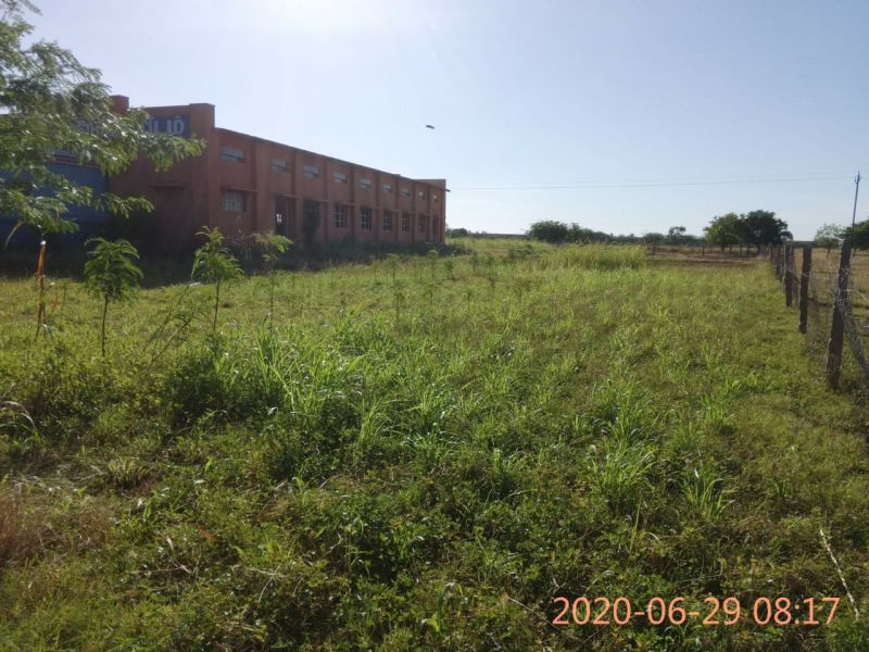 File:SSJP 106481570 1529520963893242 1077618781310246714 o.jpg