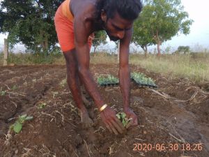 SSJP 106527758 1529521903893148 4067089078746063203 o.jpg