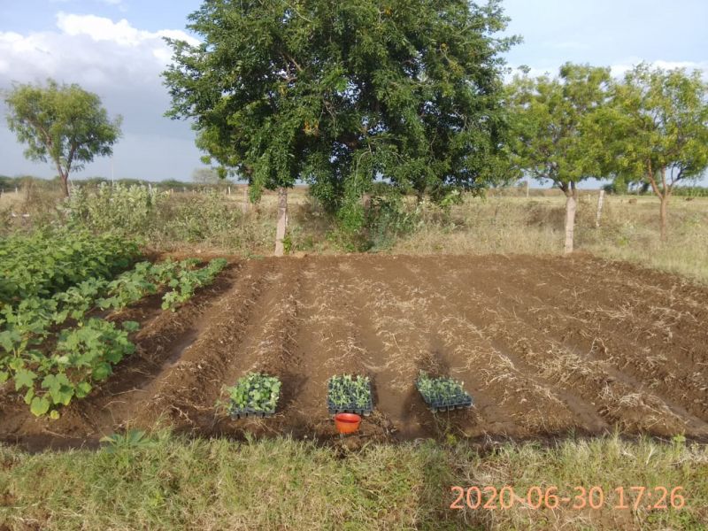 File:SSJP 107050002 1529521377226534 2238364137912475168 o.jpg