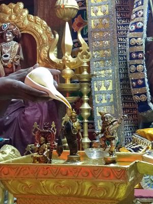 SSJP 117340280 1564832290362109 2147766879479843972 o.jpg