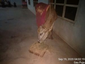 SSJP 119613884 1595727837272554 5505268479385598074 o.jpg