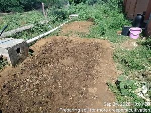 SSJP 119988115 1599264833585521 5794361426116231281 n.jpg