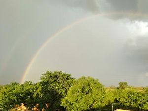 SSJP 120224030 1602758293236175 1123391932821343268 n.jpg