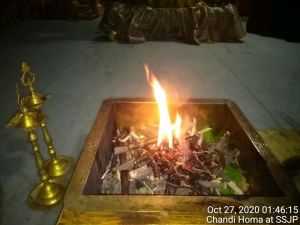 SSJP 122535785 1628537940658210 7043656852911172756 n.jpg