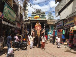 SSJP 69461587 1261974047314603 562861515749720064 n.jpg