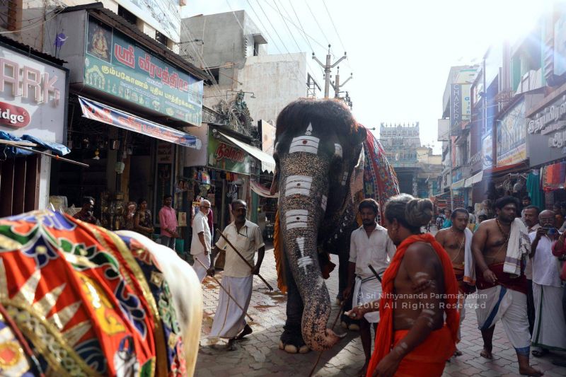 File:SSJP 69706912 1266660786845929 3229924782229159936 o.jpg