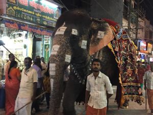 SSJP 69847386 1259961540849187 7992828769423327232 n.jpg