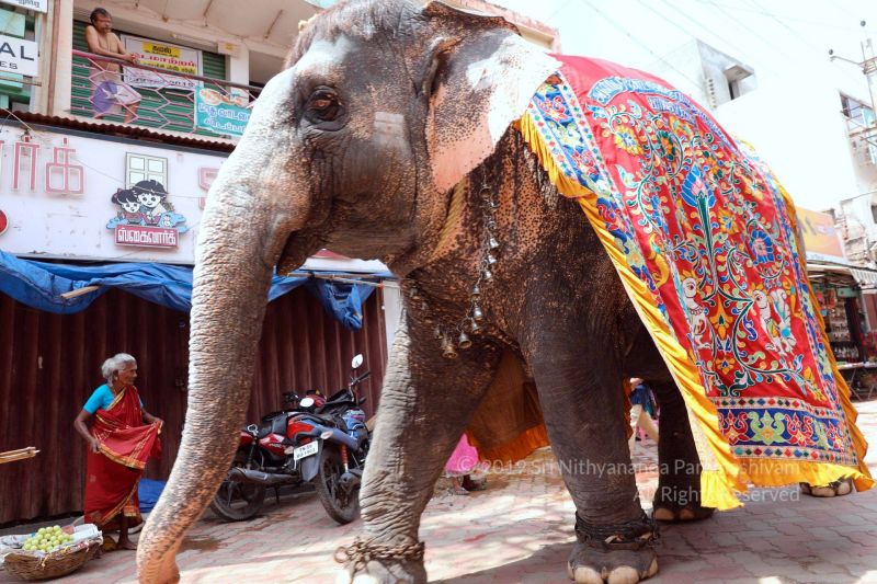 File:SSJP 70586784 1267272520118089 7177444191943786496 o.jpg