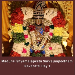 SSJP 71496673 1283699215142086 2756626451431161856 n.jpg