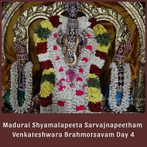 SSJP 71761288 1286676644844343 9090213181501997056 n.jpg