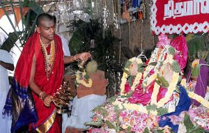 SSJP 71777307 1279008375611170 5135874677981315072 o.jpg