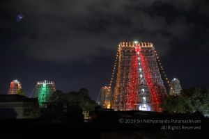 SSJP 72189071 1284983488346992 5208210431281201152 o.jpg