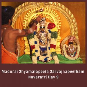 SSJP 72196408 1290080094503998 5935692816511401984 o.jpg