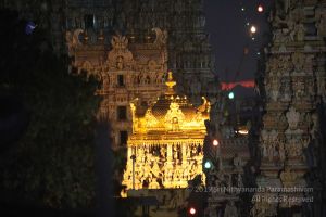 SSJP 72216328 1284982751680399 2018355941577064448 o.jpg