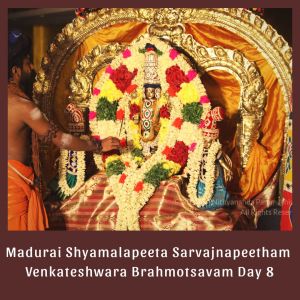 SSJP 72244036 1290080401170634 5772601286100779008 o.jpg