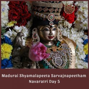 SSJP 72266783 1286676314844376 7850323356564848640 n.jpg