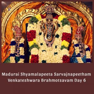 SSJP 72806378 1288753924636615 5757751651423223808 n.jpg