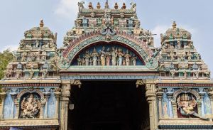 SSJP 88112824 1427022574143082 6567930488021843968 n.jpg