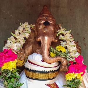 SSJP 88423294 1429424683902871 1577430282527571968 n.jpg