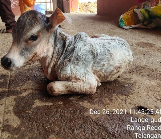 Sripuram 2021-12-26 at 11.42.59.jpeg