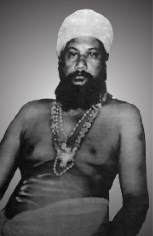 Swargapuram Aadheenam 22nd Pontiff.jpg