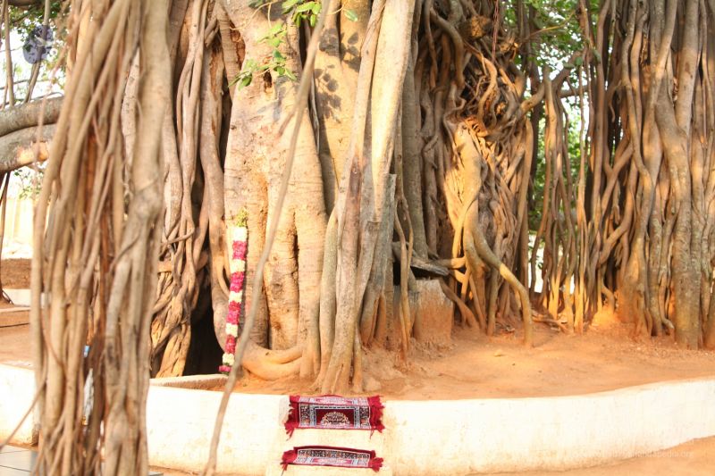 File:Temple-Visit-IMG 0780.jpg