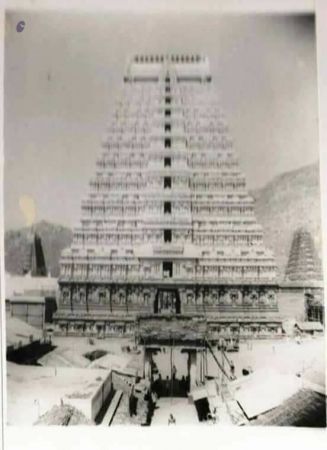 Temple 24991232 2006901462925937 2243634554401806583 n-15.jpg