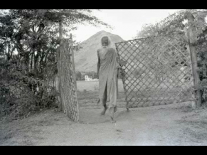 Thinnai Swamigal.png