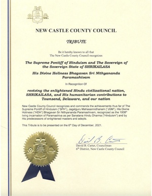 Tribute letter from the new castle county council.pdf