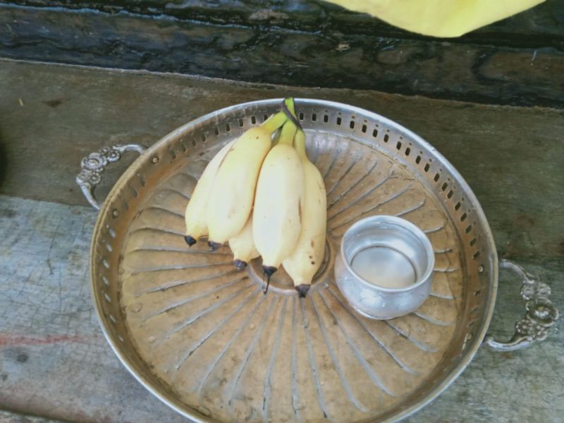 File:WhatsApp Image 2021-07-08 at 10.06.00 PM (1).jpeg