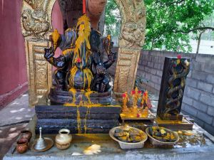 WhatsApp Image 2021-07-08 at 10.06.02 PM.jpeg