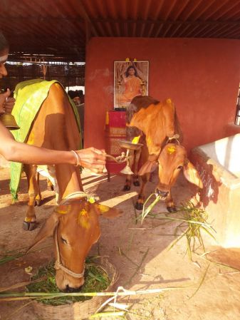 WhatsApp Image 2021-12-25 at 08.36.21 (1).jpeg