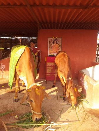 WhatsApp Image 2021-12-25 at 08.36.22 (2).jpeg