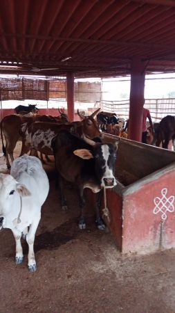 WhatsApp Image 2021-12-26 at 17.34.07.jpeg