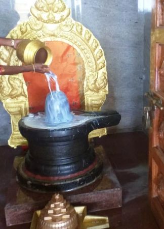 WhatsApp Image 2021-12-27 at 11.10.16.jpeg