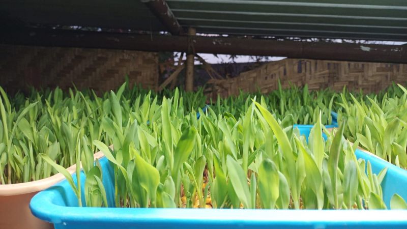 WhatsApp Image 2021-12-29 at 17.58.16.jpeg