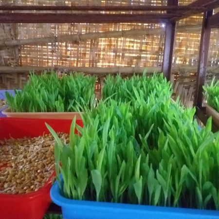 WhatsApp Image 2021-12-30 at 08.22.38.jpeg