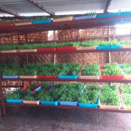 WhatsApp Image 2021-12-30 at 08.23.59.jpeg