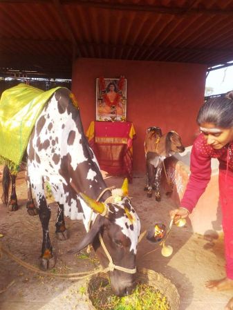 WhatsApp Image 2021-12-31 at 08.44.16.jpeg