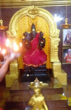 WhatsApp Image 2021-12-31 at 15.03.04.jpeg