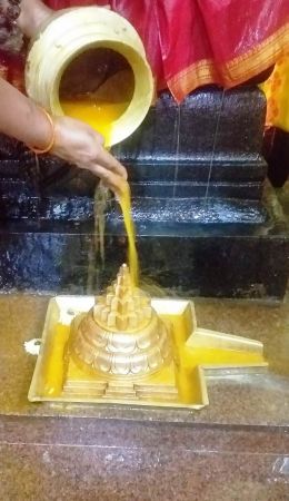 WhatsApp Image 2021-12-31 at 15.03.07.jpeg